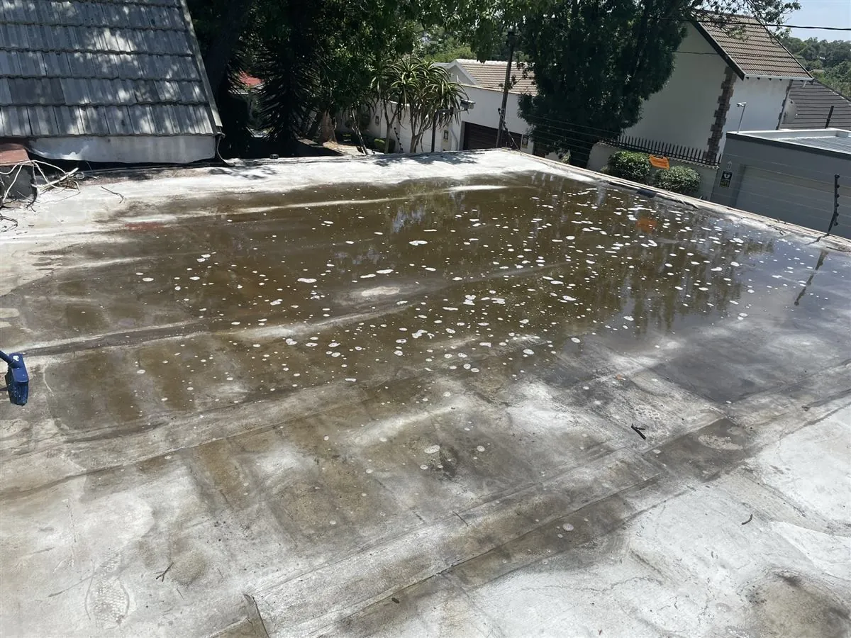 Before: water pooling on the flat roof